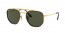 001 (gold) green lens