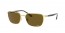 001/AN (gold) brown polarized lens