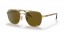 001/AN (gold) brown polarized lens