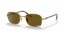 001/AN (gold) brown polarized lens