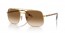 001/51 (gold) brown gradient lens