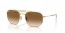 001/51 (gold) brown gradient lens