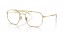 001/GG (gold) blue photochromic lens