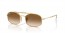 001/51 (gold) brown gradient lens