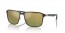 188/6O (brown on gunmetal) green/gold pol chromance lens