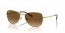 001/M2 (gold) brown polarized gradient lens