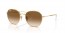 001/51 (gold) brown gradient lens