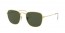 919631 (legend gold) green lens