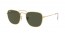 919658 (legend gold) green polarized lens