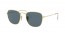 9196R5 (legend gold) blue lens