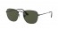 919931 (black) green lens