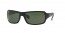 601/58 (black) polarized lens