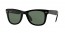 601/58 (black) green polarized lens