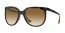 710/51 (light havana) gradient lens