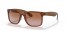 659413 (transparent light brown) gradient brown lens