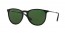 601/2P (black) polarized green lens
