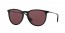601/5Q (black) purple polarized lens
