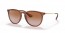 659013 (transparent light brown) gradient brown lens