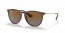 6593T5 (transparent dark brown) brown gradient polarized lens