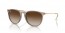 674413 (transparent light brown) brown gradient lens