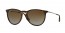 710/T5 (havana) polarized/ brown gradient lens