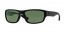 601/9A (black) polarized lens