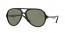 601S58 (matte black) polarized lens