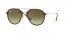 820/A6 (stripped havana) green gradient lens