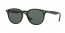 601/71 (black) dark green lens