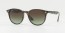 731/E8 (havana grey) green to brown gradient lens