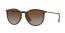 856/T5 (rubber havana) polarized lens