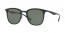 62829A (black) green polarized lens