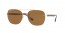 628783 (brown) polarized lens
