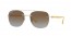 6288T5 (transparent) polarized/gradient lens