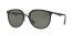 601/9A (black) polarized lens