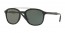 601/71 (black) green lens