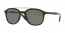 601/9A (black) polarized green lens