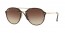 710/13 (light havana) gradient lens