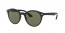 601S9A (matte black) polarized lens
