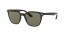 601S9A (matte black) polarized lens