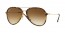 710/51 (light havana) clear gradient brown lens