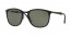 601/9A (black) polarized lens