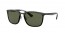 601/9A (black) polarized green lens