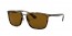 710/83 (light havana) polarized brown lens