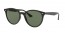601/71 (black) green lens