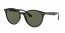 601/9A (black) polarized green lens