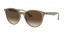 616613 (opal beige) brown gradient dark brown lens