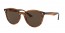 820/73 (striped red havana) dark brown lens