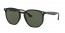601/71 (black) green lens