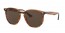 820/73 (striped red havana) dark brown lens